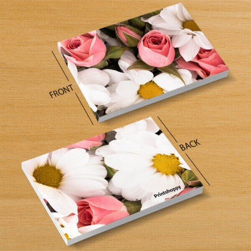 Snapbook Preview 2