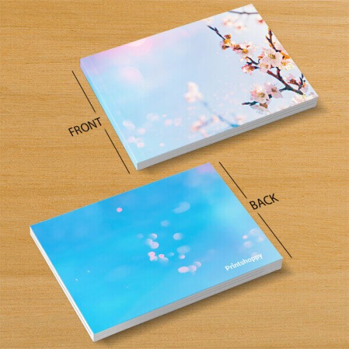 Snapbook Preview 2
